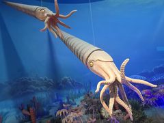 -国家自然博物馆