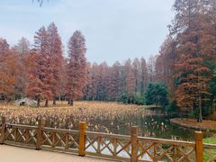 -东湖磨山景区