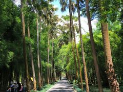 -中国科学院西双版纳热带植物园