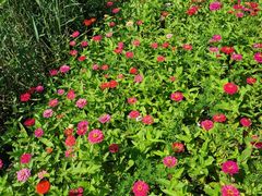 -永定河休闲森林公园