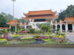 -深圳仙湖植物园