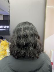 -藤野造型