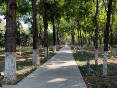 -大兴滨河森林公园