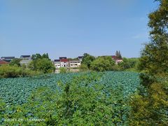 -长兴太湖图影湿地文化园