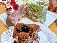 -维尔纳斯·生日蛋糕·动物奶油冰淇淋蛋糕(六里桥店)