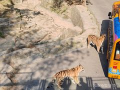 -大连森林动物园