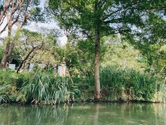 -西溪国家湿地公园