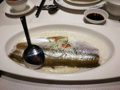 白水鱼-太湖饭店·寄畅轩中餐厅