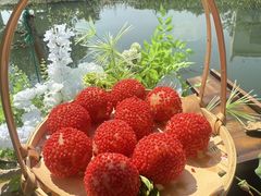 -徐岛主·特色农家乐(阳澄湖莲花岛店)