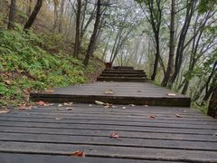 -帽儿山国家森林公园