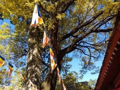 -少华山国家森林公园