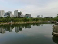 -小绿谷公园