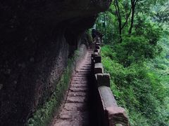 -青城山