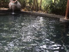 -水底山庄园温泉