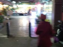 -曲阳花鸟市场(曲阳路店)