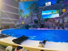 -珠海长隆海洋王国