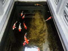 -鲤院·新中式美学·庭院餐厅(夫子庙店)