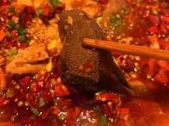毛血旺-先启半步颠小酒馆(白麓里店)