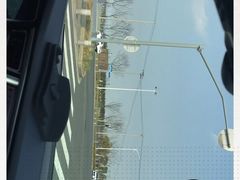 -春花秋色城市公园