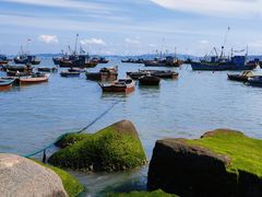 -海源公园