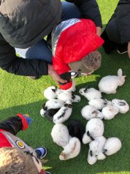 -萌宠亲子动物乐园(槐房万达店)