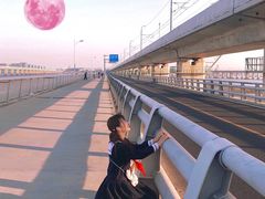 -海堤纪念公园