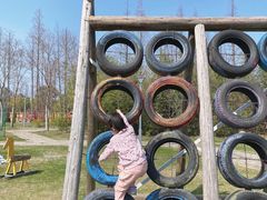 -前小桔亲子创意农场·草莓采摘·露营烧烤