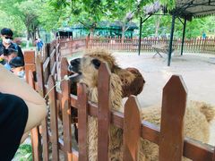 -西安秦岭野生动物园