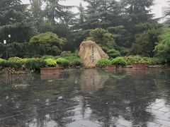 -西苑公园