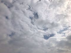 -瀛洲公园