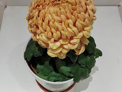 -汇龙潭