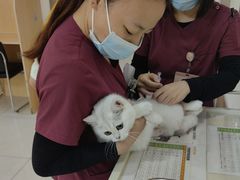 -美联众合动物医院·24h京西诊疗中心