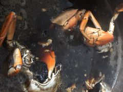 -老财炒饭·熟地蟹·冬瓜蟹