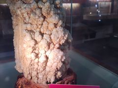-遂昌金矿国家矿山公园
