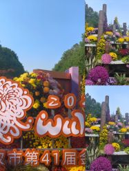 -頤霞古方美容养生