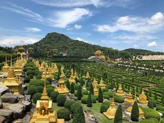 -东芭乐园