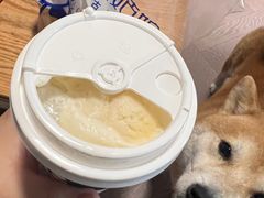 -西琳姑娘·新疆冰淇淋酸奶茶(南开大悦城店)