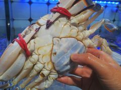 -日照大牌檔•小船海鲜(万平口店)