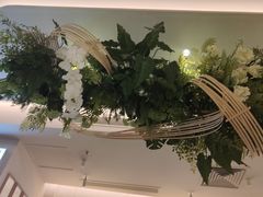 -Aqua Oasis 水天堂(太湖中心mall店)