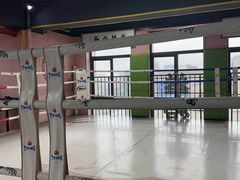 -臻元搏击格斗泰拳拳馆(港隆店)