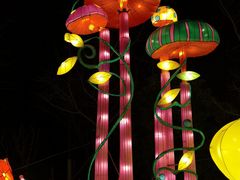 -武汉园博园(武汉自然博物馆)