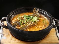 黄辣丁鱼炖豆腐-煜丰汴京烤鸭(福彩路店)