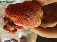 -水果地带(中航国际店)