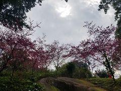 -乌山风景区