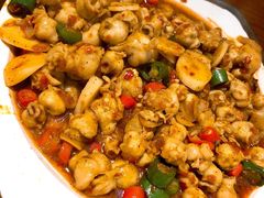 鱿鱼嘴-红辣椒八爪鱼特色韩国料理