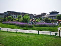 -秦皇岛阿尔卡迪亚滨海度假酒店