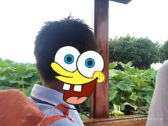 -荷塘月色湿地公园·向阳花洲
