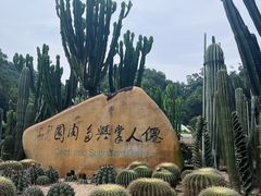 -深圳仙湖植物园