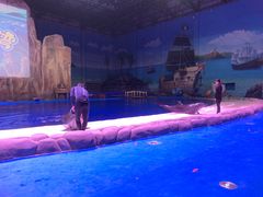 -华夏文旅海洋公园