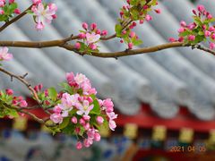 -天坛公园